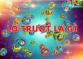 Lô Trượt Là Gì? Đánh Lô Trượt Ăn Bao Nhiêu Tiền?